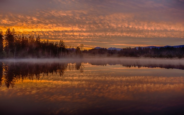 Nature. Desktop wallpaper