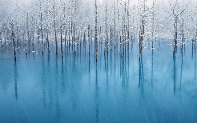 Nature. Desktop wallpaper