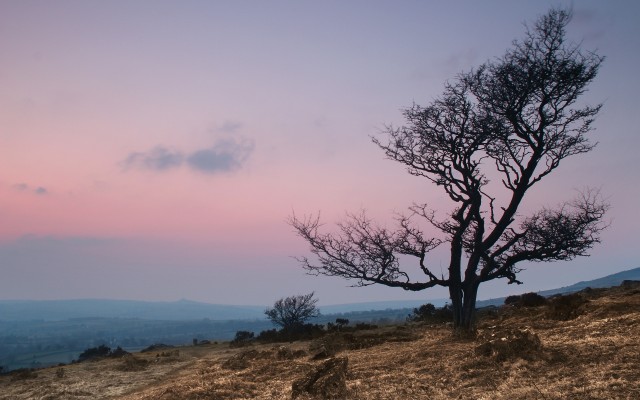 Nature. Desktop wallpaper