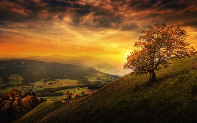 Nature. Desktop wallpaper
