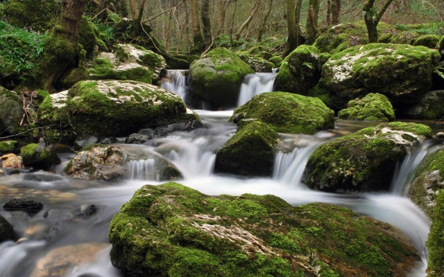 Nature. Desktop wallpaper