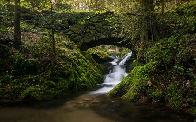 Nature. Desktop wallpaper