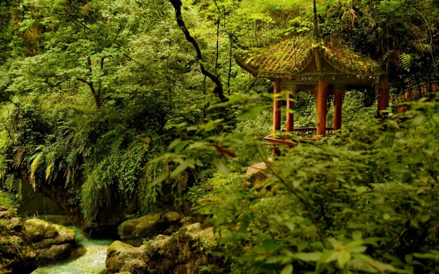 Nature. Desktop wallpaper