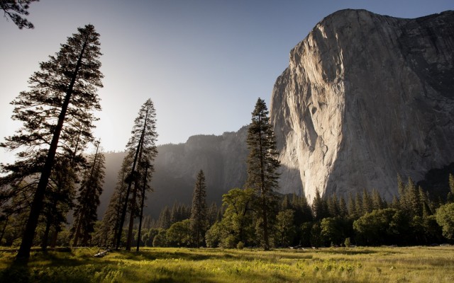 Nature. Desktop wallpaper