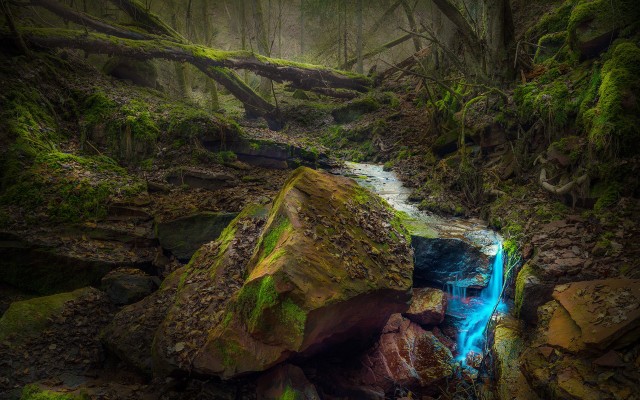 Nature. Desktop wallpaper
