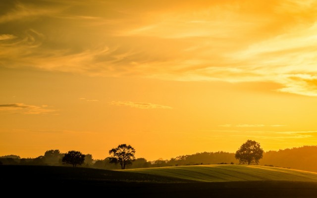 Nature. Desktop wallpaper