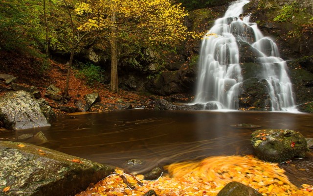 Nature. Desktop wallpaper