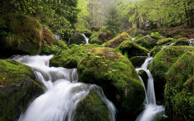 Nature. Desktop wallpaper