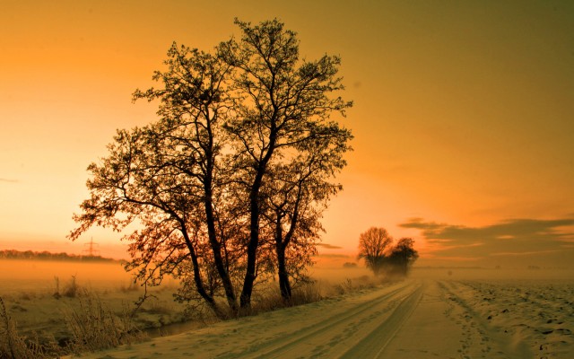 Nature. Desktop wallpaper