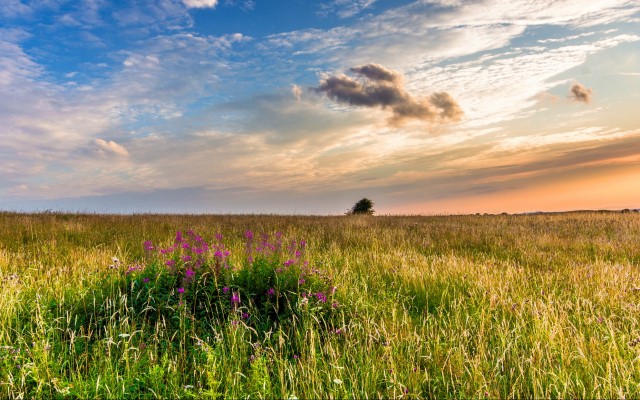 Nature. Desktop wallpaper