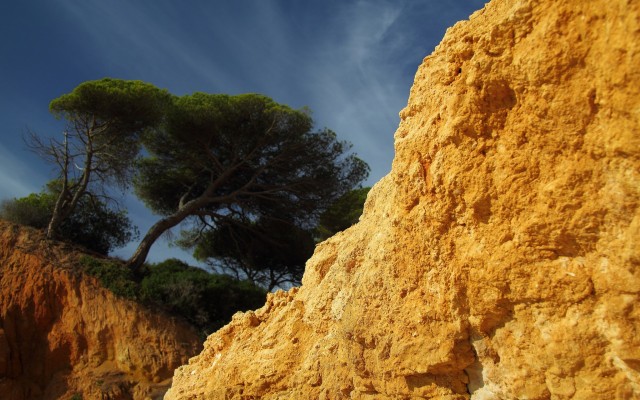 Nature. Desktop wallpaper