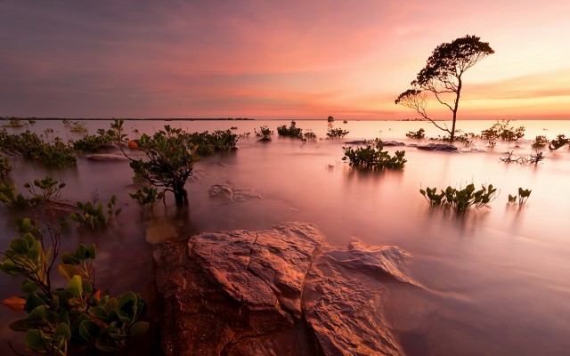 Nature. Desktop wallpaper