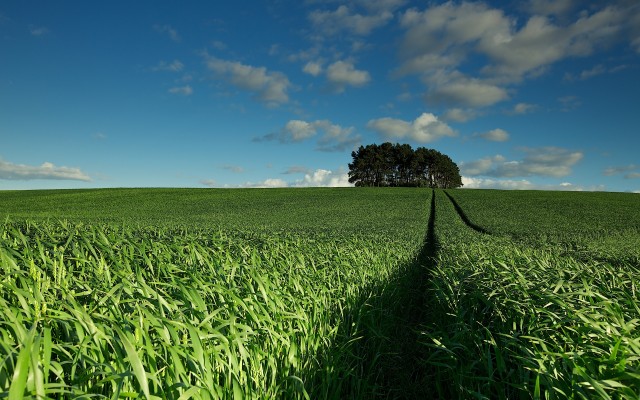 Nature. Desktop wallpaper