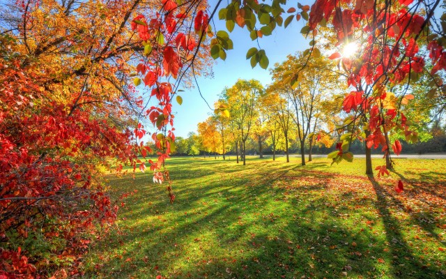 Nature. Desktop wallpaper