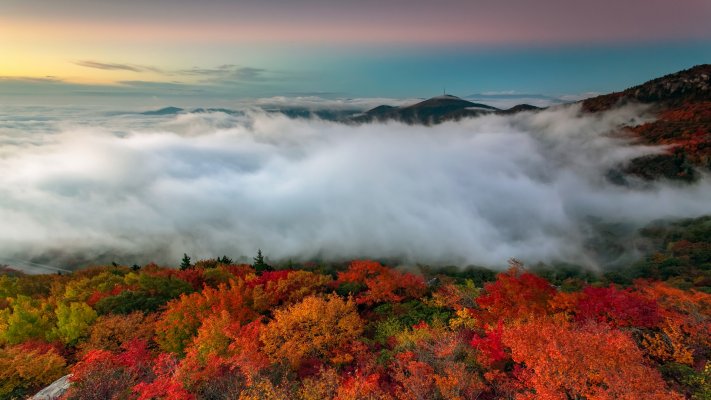 Nature. Desktop wallpaper