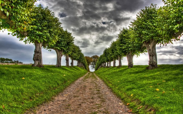 Nature. Desktop wallpaper