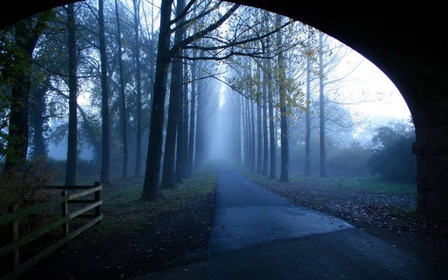 Nature. Desktop wallpaper