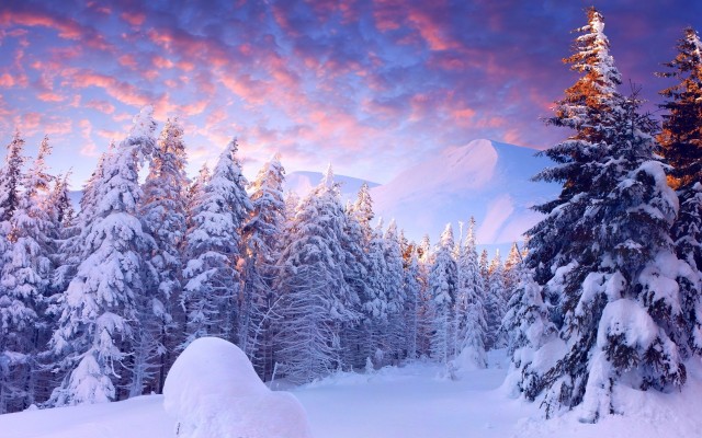 Nature. Desktop wallpaper