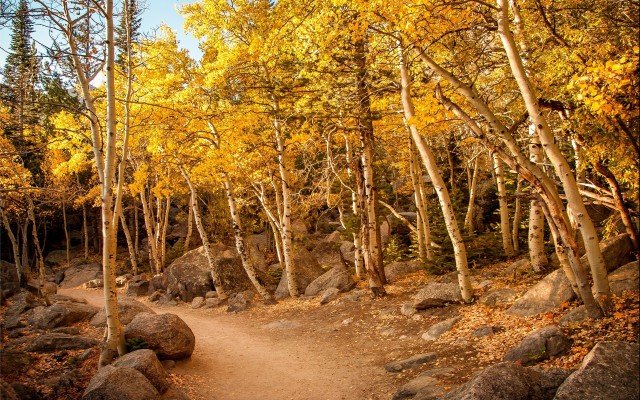 Nature. Desktop wallpaper