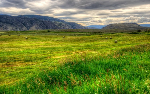 Nature. Desktop wallpaper
