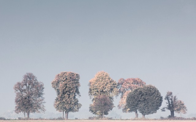 Nature. Desktop wallpaper