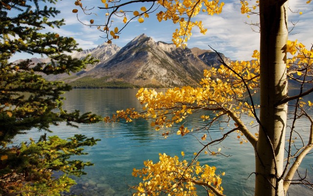Nature. Desktop wallpaper
