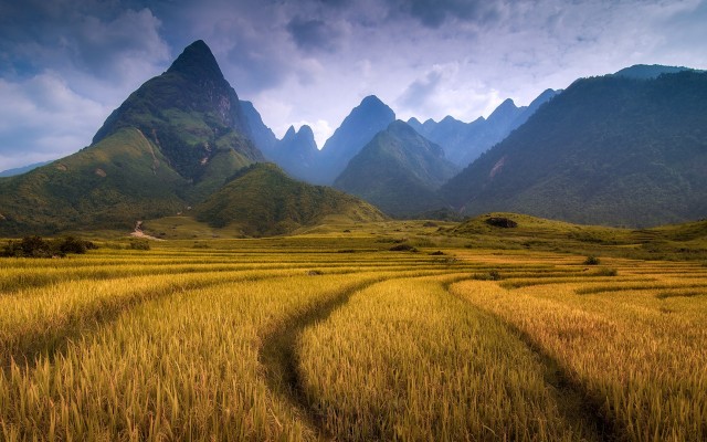 Nature. Desktop wallpaper