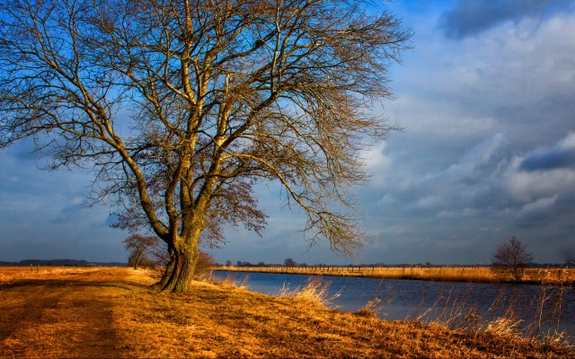 Nature. Desktop wallpaper