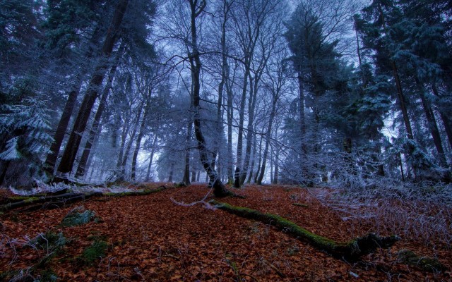 Nature. Desktop wallpaper