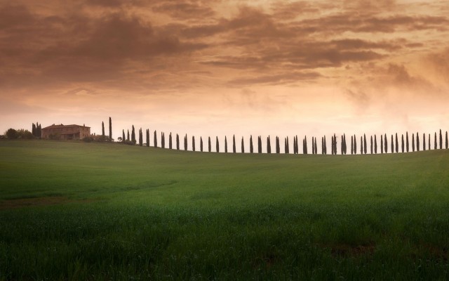 Nature. Desktop wallpaper