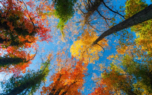 Nature. Desktop wallpaper