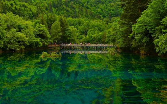 Nature. Desktop wallpaper