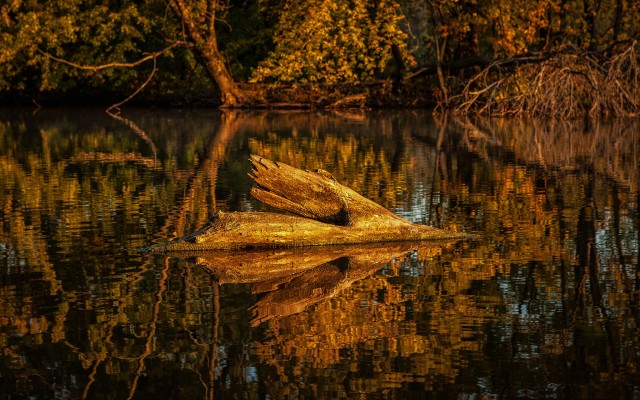 Nature. Desktop wallpaper