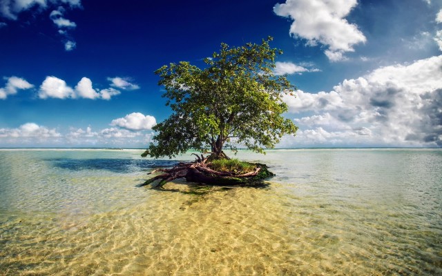 Nature. Desktop wallpaper