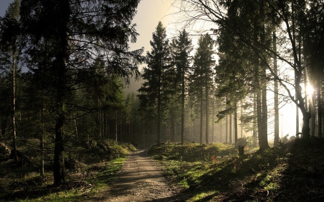 Nature. Desktop wallpaper