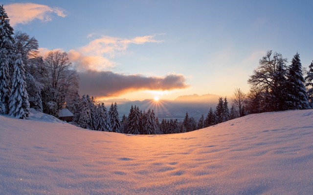 Nature. Desktop wallpaper