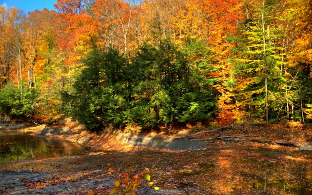 Nature. Desktop wallpaper