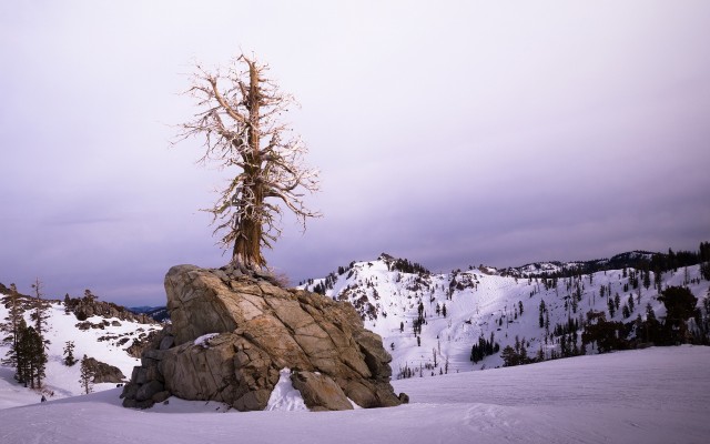Nature. Desktop wallpaper