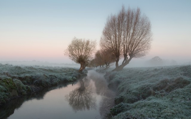 Nature. Desktop wallpaper