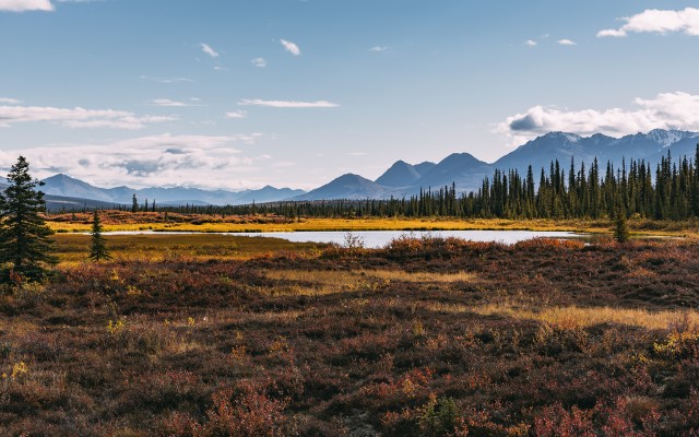 Nature. Desktop wallpaper