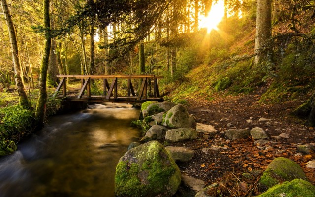 Nature. Desktop wallpaper