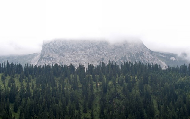 Nature. Desktop wallpaper