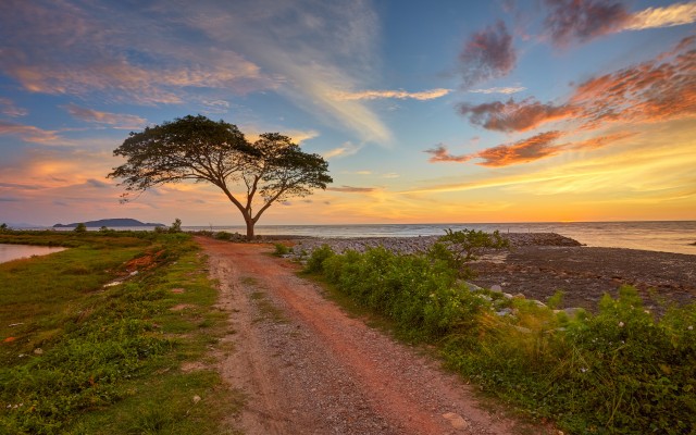 Nature. Desktop wallpaper