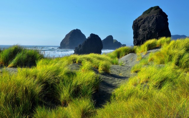 Nature. Desktop wallpaper