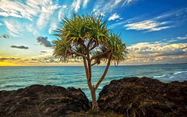 Nature. Desktop wallpaper