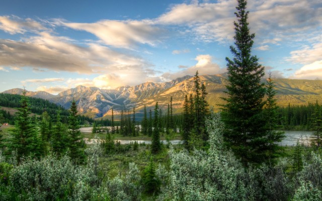 Nature. Desktop wallpaper