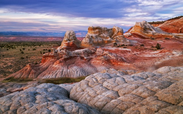 Nature. Desktop wallpaper