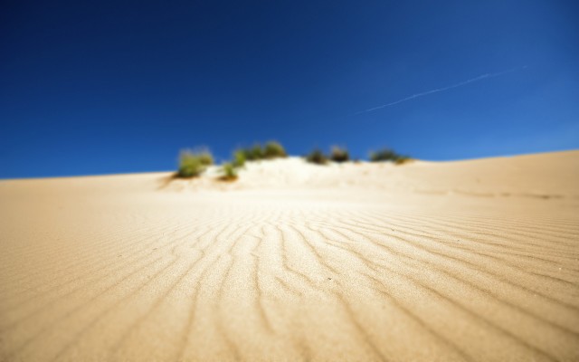 Nature. Desktop wallpaper