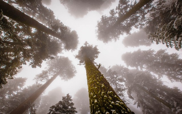 Nature. Desktop wallpaper