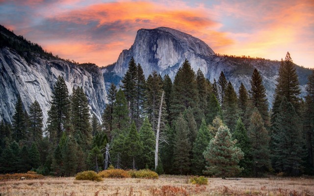 Nature. Desktop wallpaper